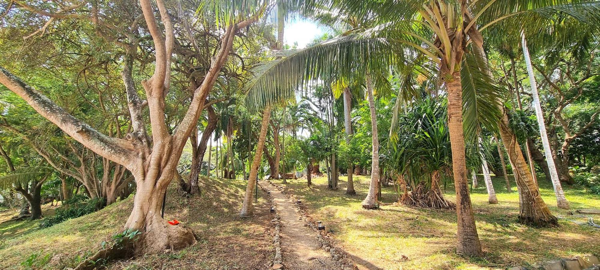 Mbweni Ruins & Gardens Previously Jungle Paradise Zanzibar Exteriör bild