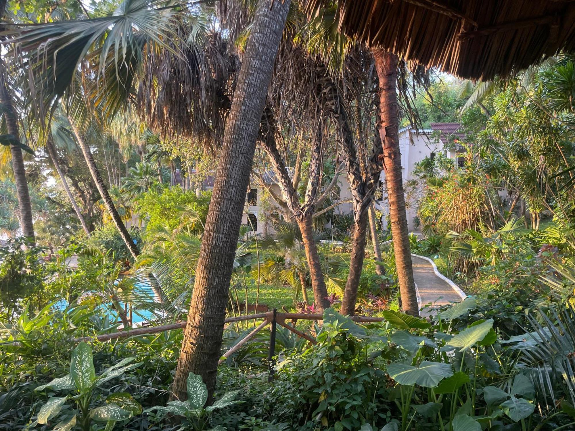 Mbweni Ruins & Gardens Previously Jungle Paradise Zanzibar Exteriör bild