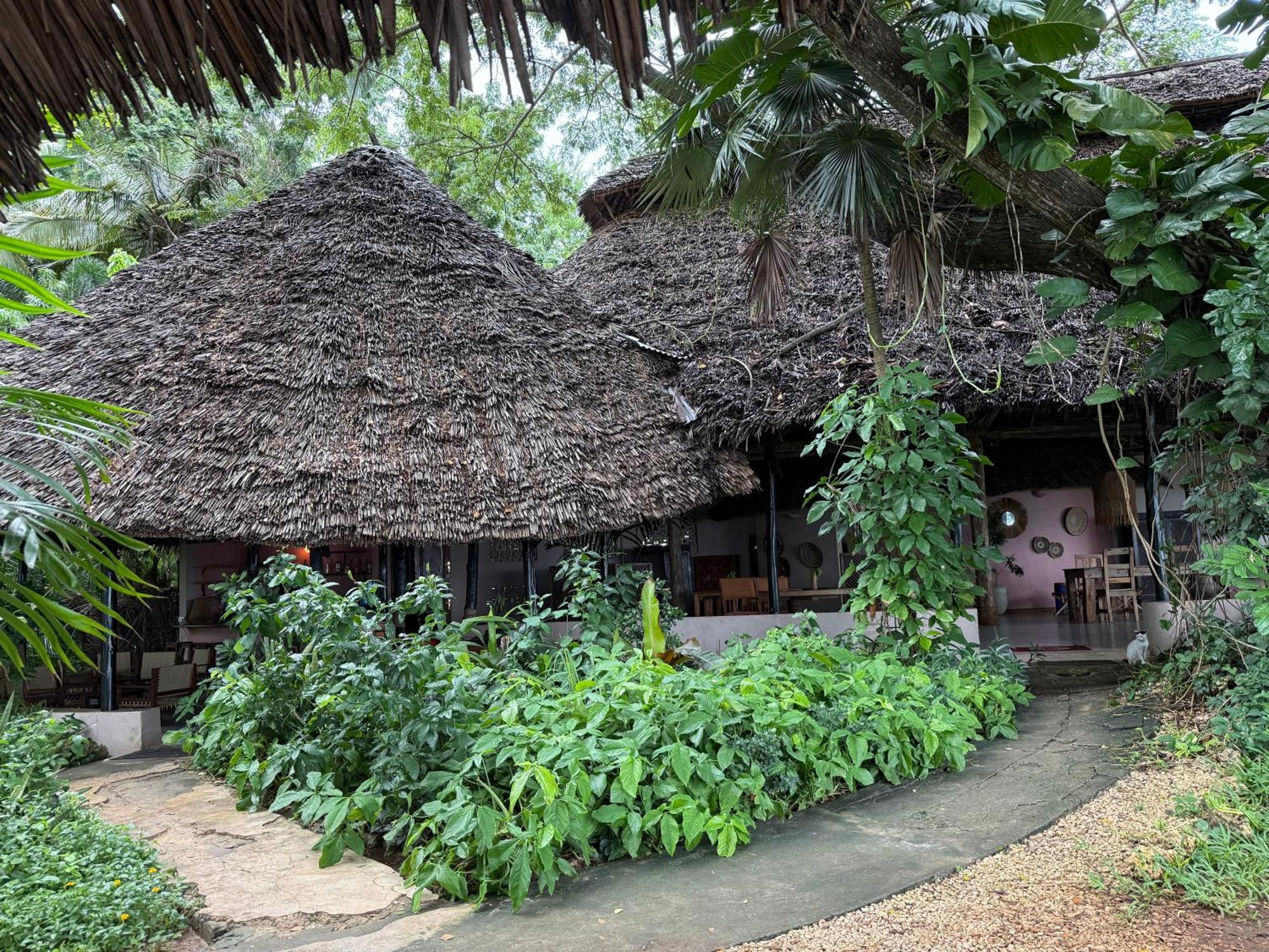 Mbweni Ruins & Gardens Previously Jungle Paradise Zanzibar Exteriör bild
