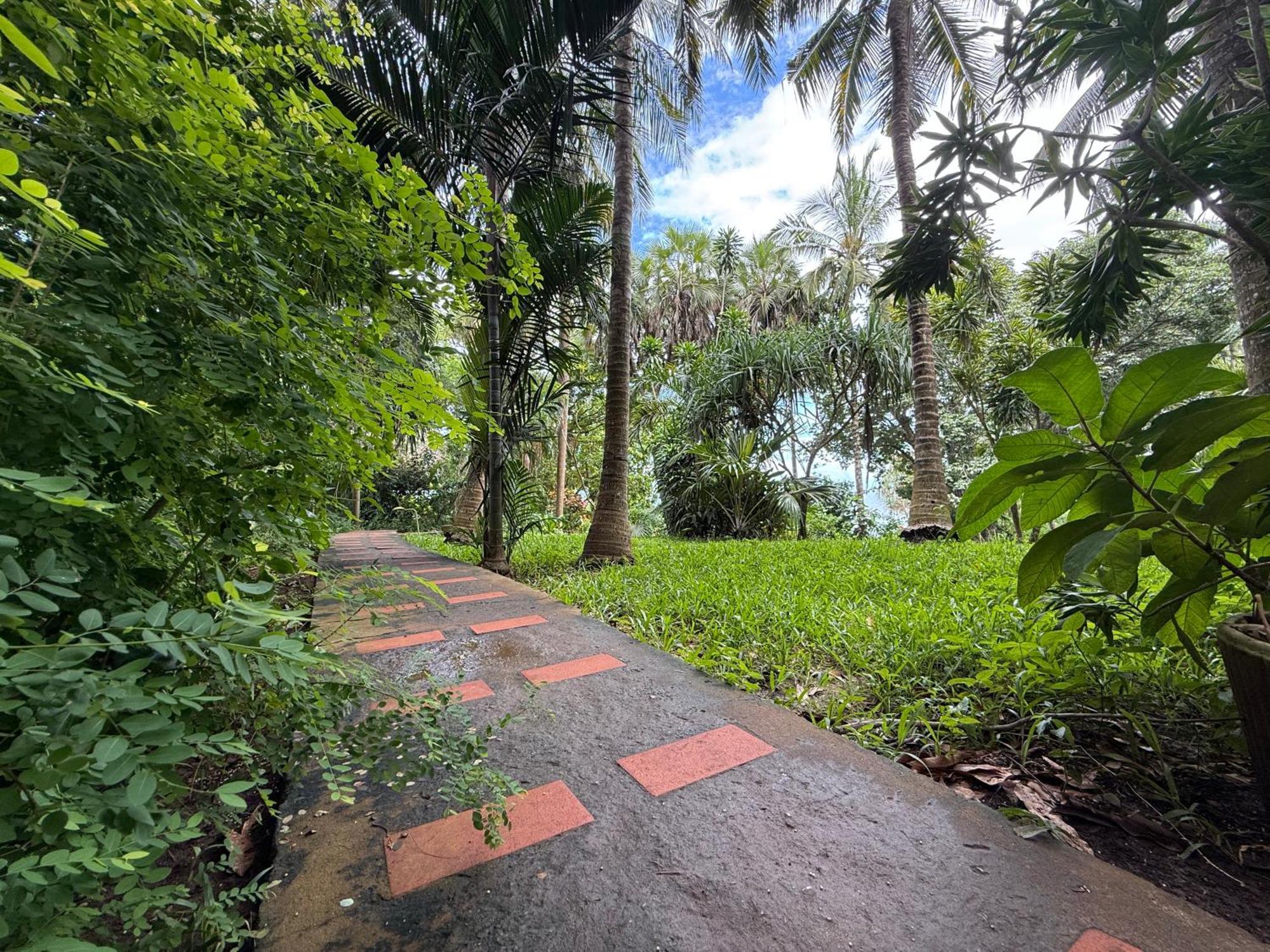 Mbweni Ruins & Gardens Previously Jungle Paradise Zanzibar Exteriör bild