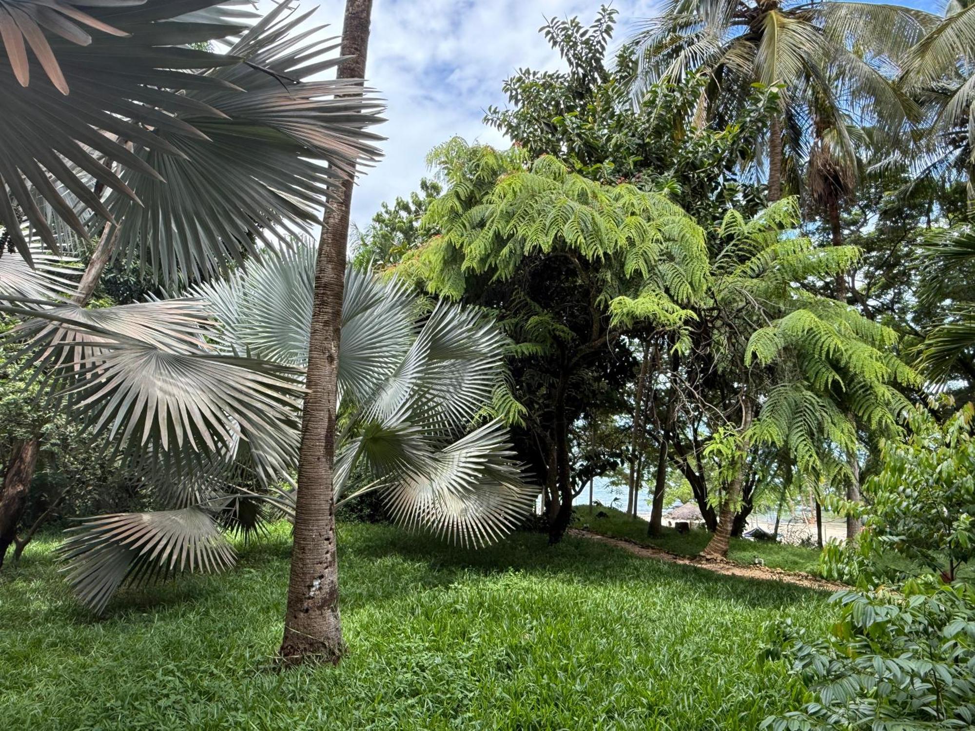 Mbweni Ruins & Gardens Previously Jungle Paradise Zanzibar Exteriör bild